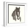 Horse Portrait III-Chris Paschke-Framed Art Print