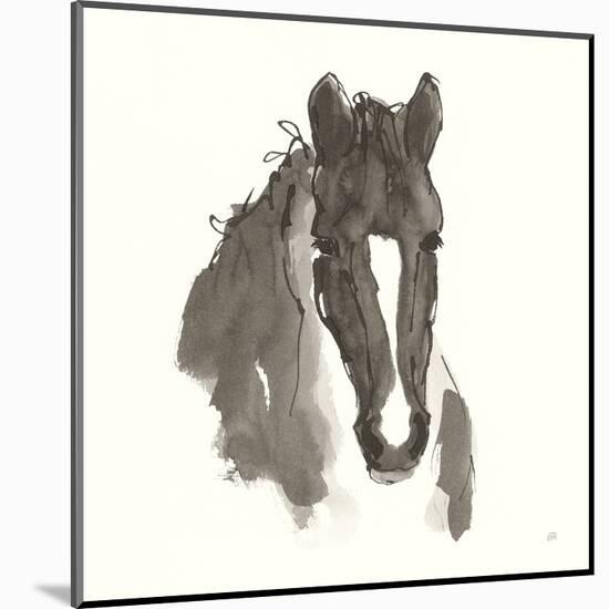 Horse Portrait III-Chris Paschke-Mounted Art Print