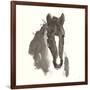 Horse Portrait III-Chris Paschke-Framed Art Print