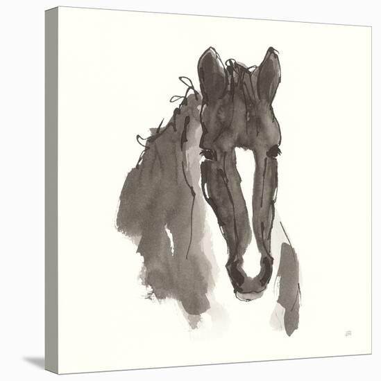 Horse Portrait III-Chris Paschke-Stretched Canvas