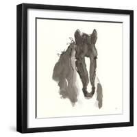 Horse Portrait III-Chris Paschke-Framed Art Print