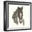 Horse Portrait III-Chris Paschke-Framed Art Print