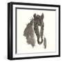 Horse Portrait III-Chris Paschke-Framed Art Print