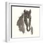 Horse Portrait III-Chris Paschke-Framed Art Print