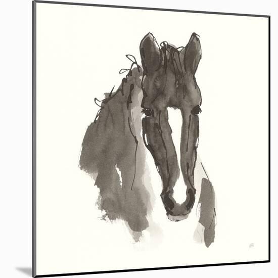 Horse Portrait III-Chris Paschke-Mounted Art Print