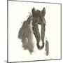 Horse Portrait III-Chris Paschke-Mounted Art Print