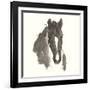 Horse Portrait III-Chris Paschke-Framed Art Print