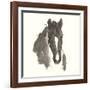 Horse Portrait III-Chris Paschke-Framed Art Print