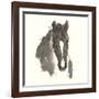 Horse Portrait III-Chris Paschke-Framed Art Print