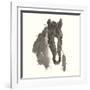 Horse Portrait III-Chris Paschke-Framed Art Print