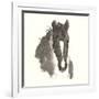 Horse Portrait III-Chris Paschke-Framed Premium Giclee Print