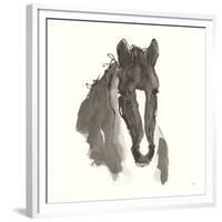 Horse Portrait III-Chris Paschke-Framed Premium Giclee Print