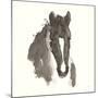 Horse Portrait III-Chris Paschke-Mounted Premium Giclee Print