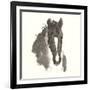 Horse Portrait III-Chris Paschke-Framed Premium Giclee Print