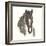 Horse Portrait III-Chris Paschke-Framed Premium Giclee Print