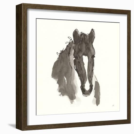 Horse Portrait III-Chris Paschke-Framed Premium Giclee Print