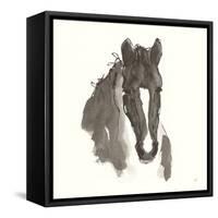 Horse Portrait III-Chris Paschke-Framed Stretched Canvas