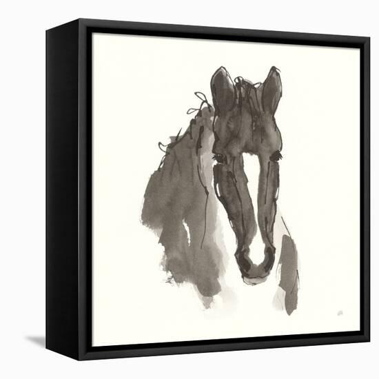 Horse Portrait III-Chris Paschke-Framed Stretched Canvas