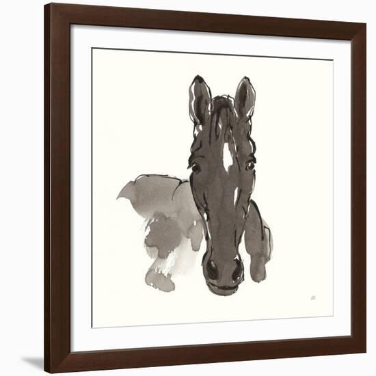 Horse Portrait IV-Chris Paschke-Framed Art Print