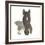 Horse Portrait IV-Chris Paschke-Framed Art Print