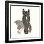 Horse Portrait IV-Chris Paschke-Framed Art Print