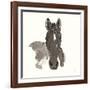 Horse Portrait IV-Chris Paschke-Framed Art Print