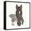 Horse Portrait IV-Chris Paschke-Framed Stretched Canvas
