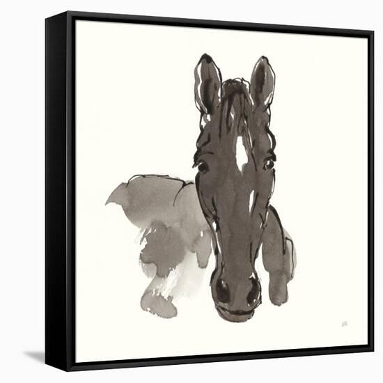 Horse Portrait IV-Chris Paschke-Framed Stretched Canvas
