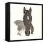 Horse Portrait IV-Chris Paschke-Framed Stretched Canvas