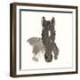 Horse Portrait IV-Chris Paschke-Framed Art Print