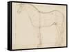 Horse Profile to the Left and Indications of Measures-Edme Bouchardon-Framed Stretched Canvas