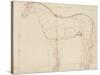 Horse Profile to the Left and Indications of Measures-Edme Bouchardon-Stretched Canvas