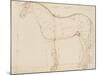 Horse Profile to the Left and Indications of Measures-Edme Bouchardon-Mounted Giclee Print