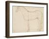 Horse Profile to the Left and Indications of Measures-Edme Bouchardon-Framed Giclee Print