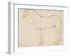 Horse Profile to the Left and Indications of Measures-Edme Bouchardon-Framed Giclee Print