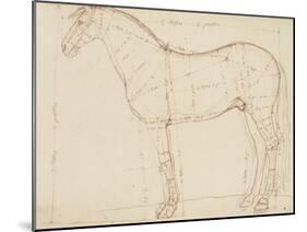 Horse Profile to the Left and Indications of Measures-Edme Bouchardon-Mounted Giclee Print