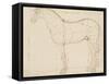 Horse Profile to the Left and Indications of Measures-Edme Bouchardon-Framed Stretched Canvas