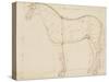 Horse Profile to the Left and Indications of Measures-Edme Bouchardon-Stretched Canvas