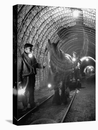 Horse Pulling Cart in Coal Mine-null-Stretched Canvas