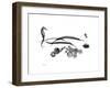 Horse Race Gray-Albert Koetsier-Framed Premium Giclee Print