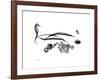 Horse Race Gray-Albert Koetsier-Framed Premium Giclee Print