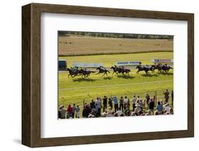 Horse race in Ballinrobe, County Mayo, Connacht, Ireland-null-Framed Premium Giclee Print