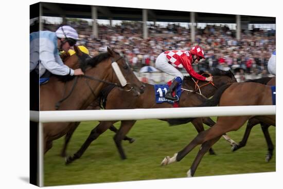 Horse race in Ballinrobe, County Mayo, Connacht, Ireland-null-Stretched Canvas