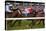 Horse race in Ballinrobe, County Mayo, Connacht, Ireland-null-Stretched Canvas