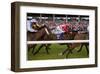 Horse race in Ballinrobe, County Mayo, Connacht, Ireland-null-Framed Art Print