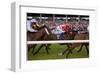 Horse race in Ballinrobe, County Mayo, Connacht, Ireland-null-Framed Art Print