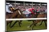 Horse race in Ballinrobe, County Mayo, Connacht, Ireland-null-Mounted Art Print