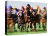 Horse Race in Motion-Peter Walton-Stretched Canvas