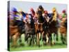 Horse Race in Motion-Peter Walton-Stretched Canvas