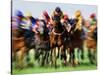 Horse Race in Motion-Peter Walton-Stretched Canvas